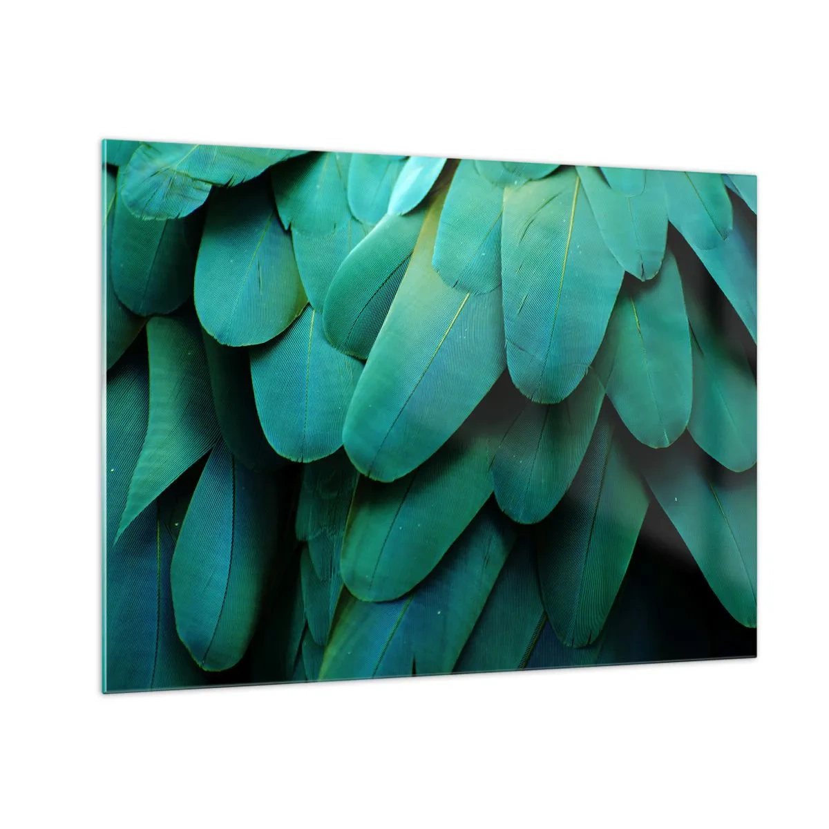 Üveg kép - Egy papagáj intenzív zöld tollai közeli képe. - 70x50cm - A papagájtermészet precizitása - Modern fali dekoráció nappalihoz és hálószobához ARTTOR