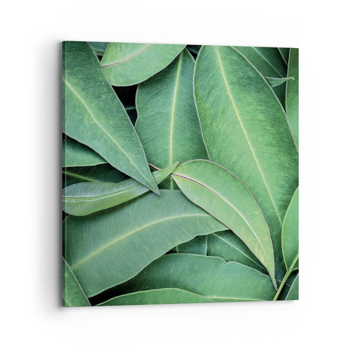 Vászonkép - Lédús és friss - 70x70 cm