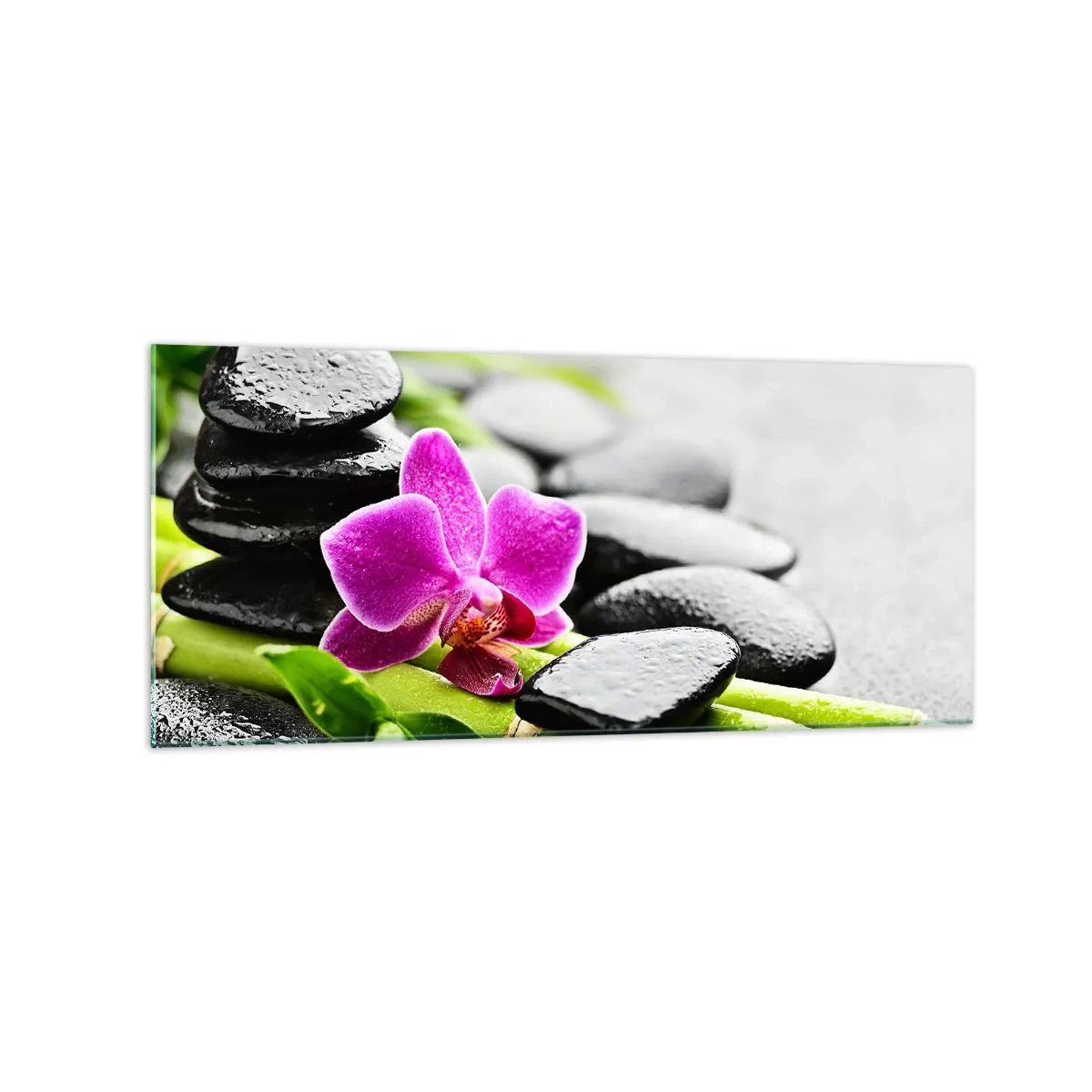 Üveg kép - Nyugodt egyensúlyban - 120x50 cm