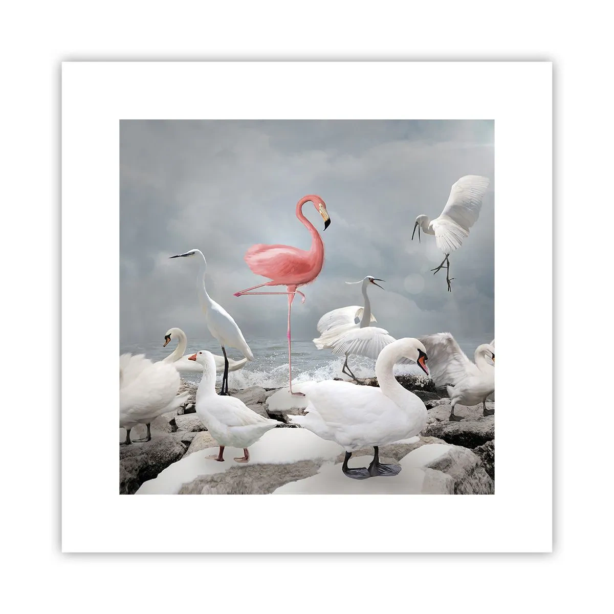 Poszter - Hogy kerültem ide? - 30x30 cm