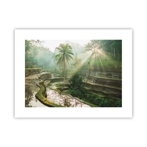 Poszter - Felnőni a napon - 40x30 cm