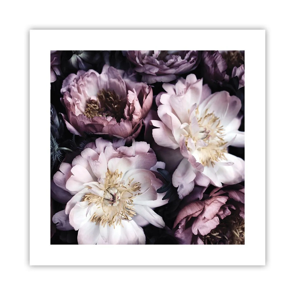 Poszter - Régi stílusú csokor - 40x40 cm