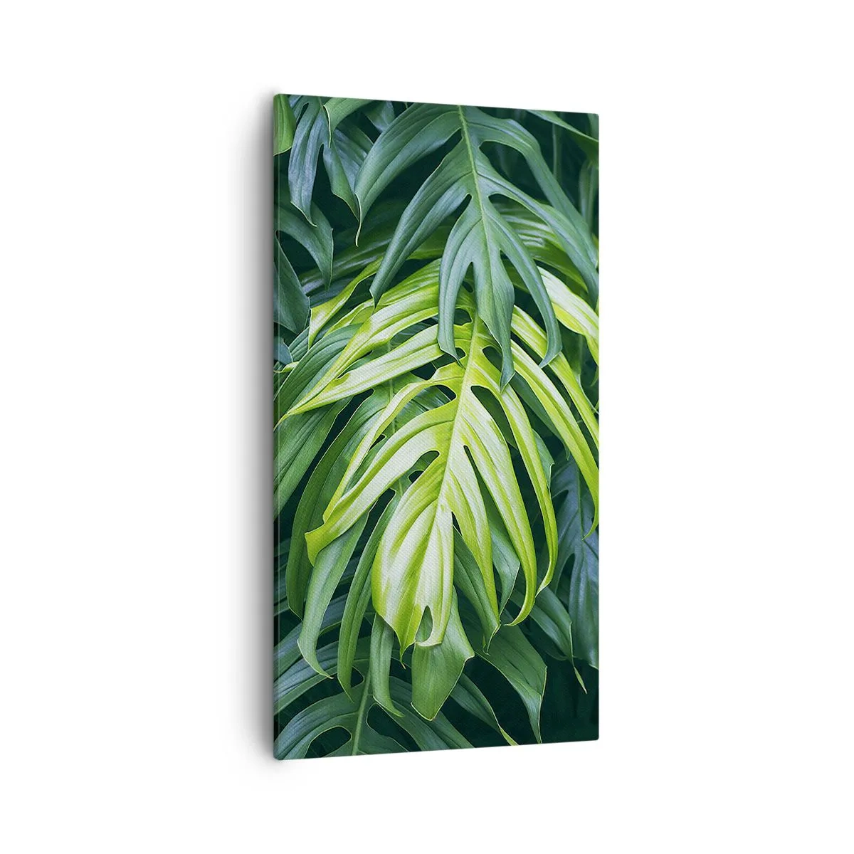 Vászonkép - Merüljön el a frissességben - 55x100 cm