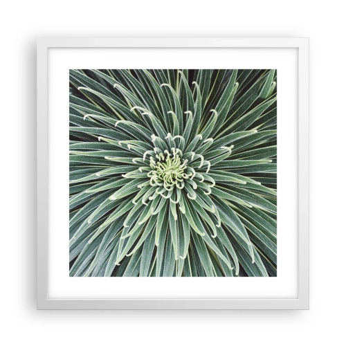 Poszter fekete keretben - Csillag születik - 40x40 cm