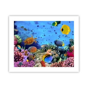 Poszter - És mit tudunk az életről... - 50x40 cm