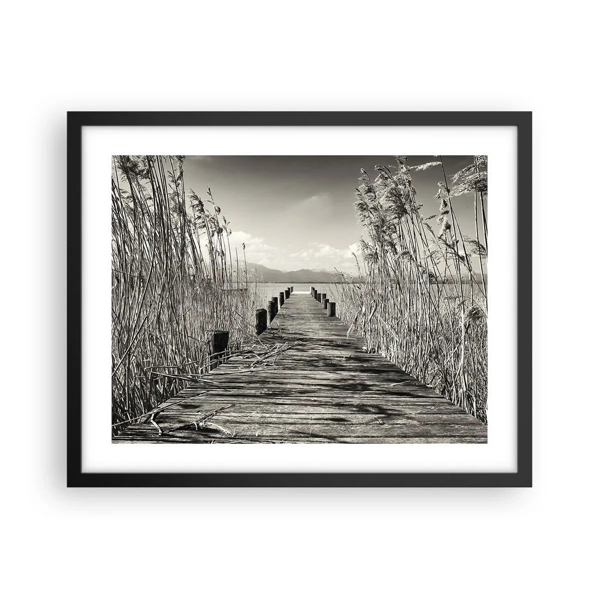 Poszter fehér keretben - A fű csendjében - 50x40 cm