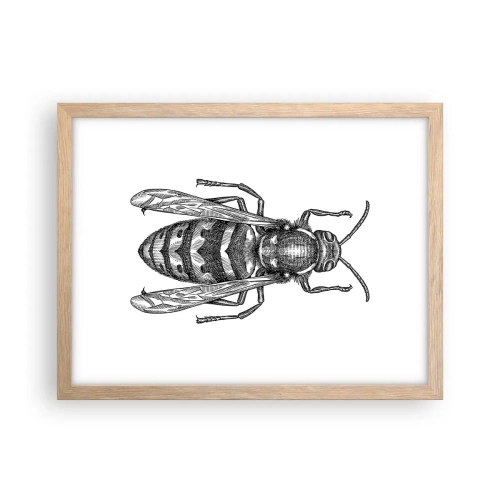 Poszter világos tölgy keretben - Egy rovar bolygóról - 40x30 cm