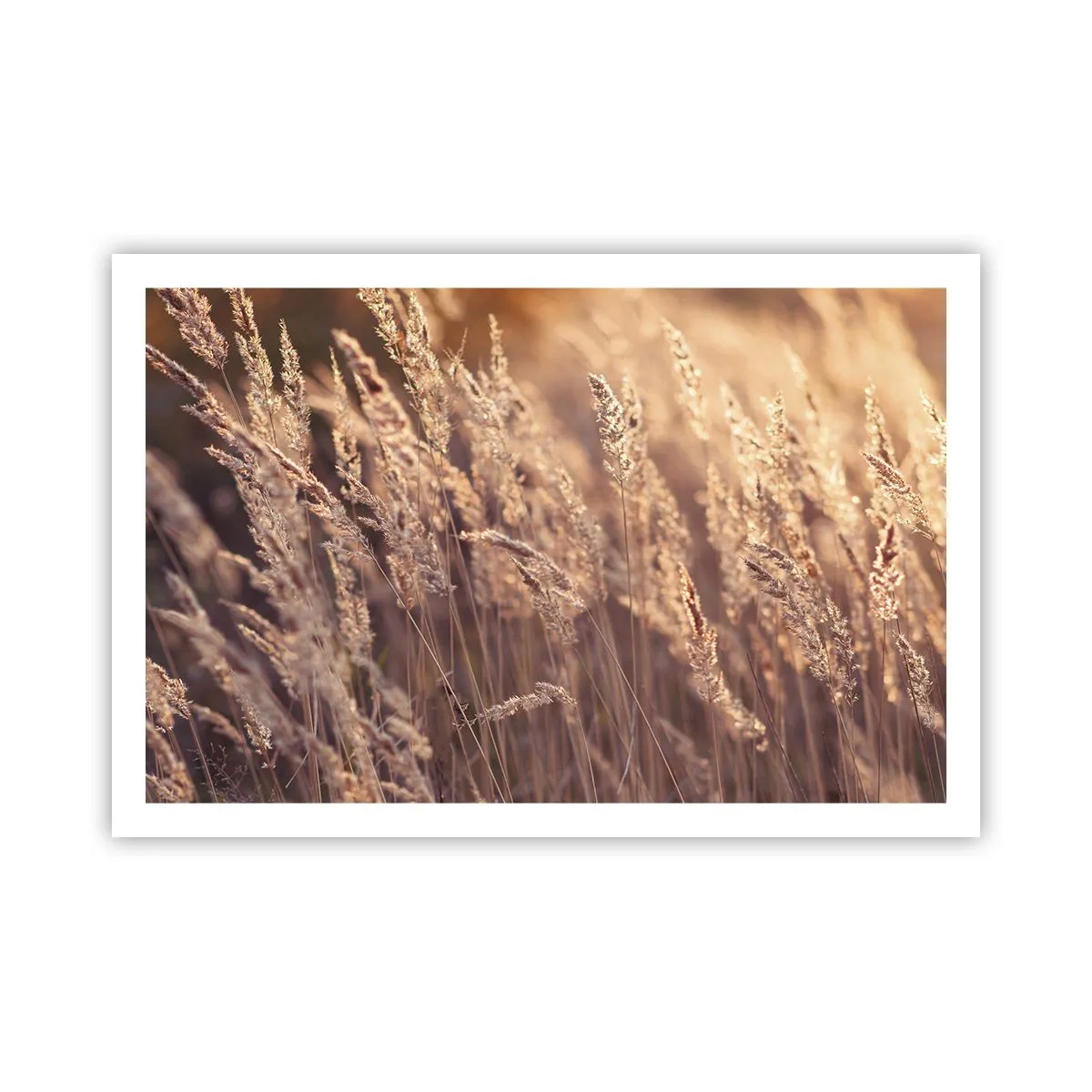 Poszter - Készen az ősz fogadására - 91x61 cm