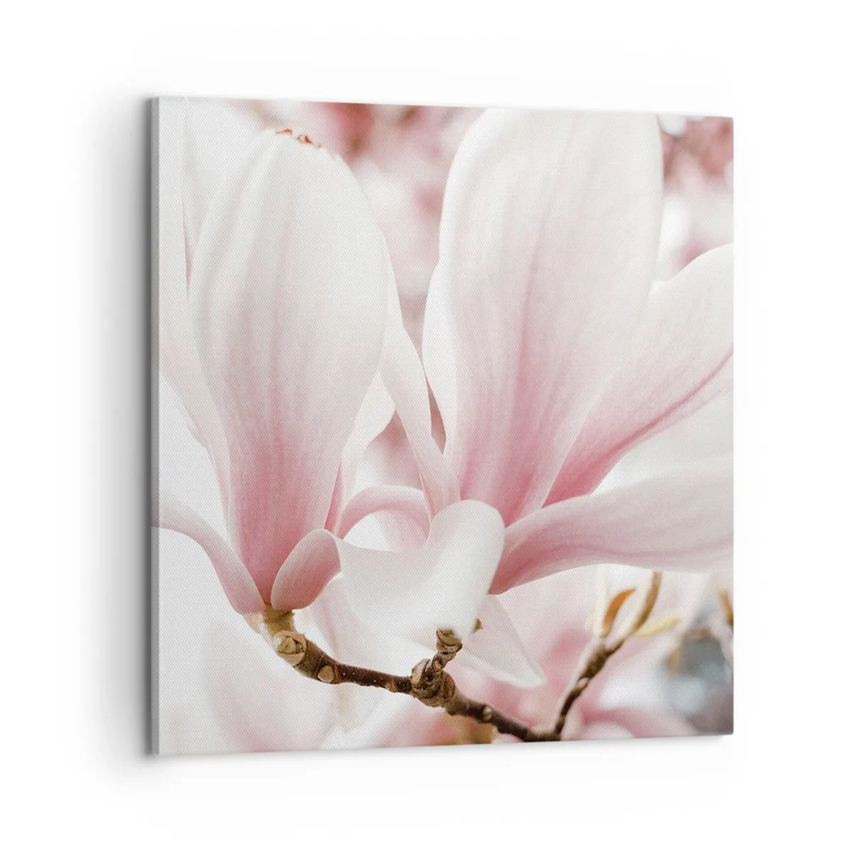 Vászonkép - Határtalan gyengédség - 60x60 cm