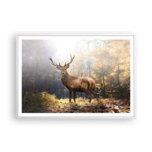 Poszter fekete keretben - Teljes fenségben - 100x70 cm