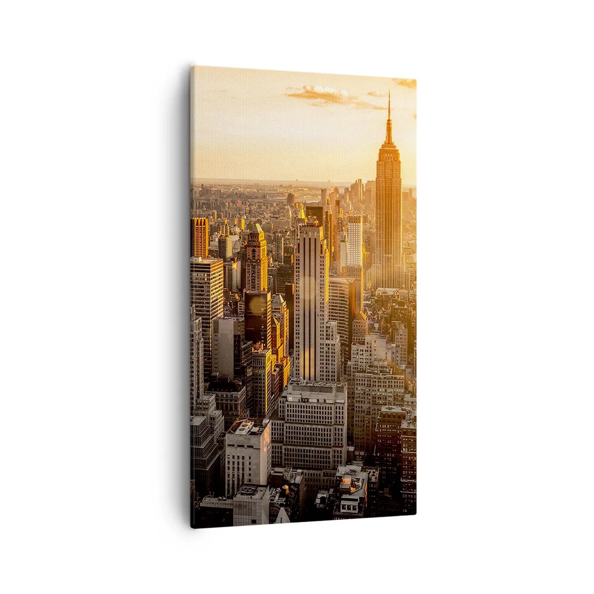 Vászonkép - Növekedni a napon - 55x100 cm