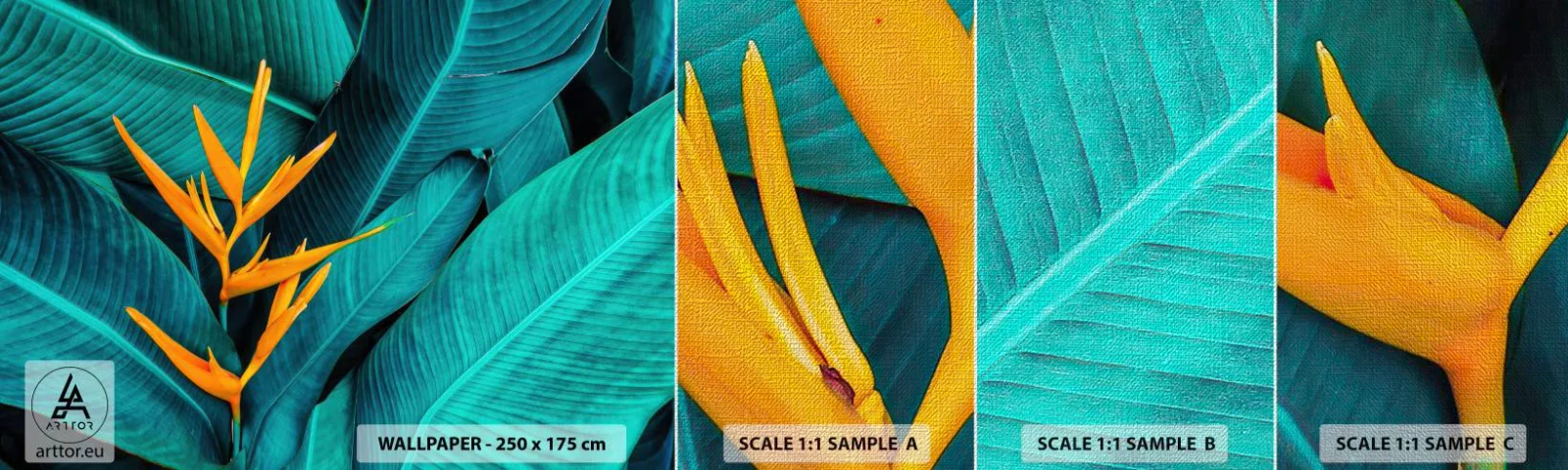 Fotótapéta Minta Premium Canvas - Éden virága - Strelitzia Royal, Virág, Afrika - 100x30 cm