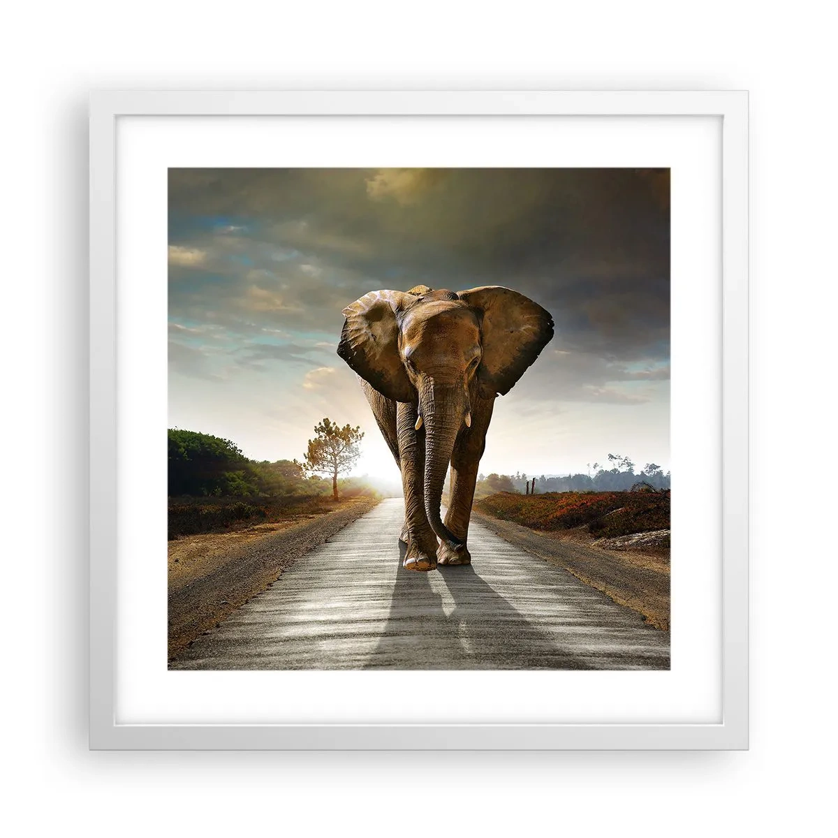 Poszter fekete keretben - És egyáltalán nem porcelánraktárban - 40x40 cm