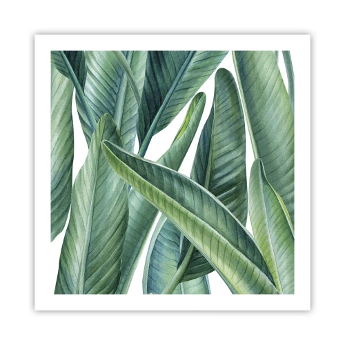 Poszter - Zöld önmagában - 60x60 cm