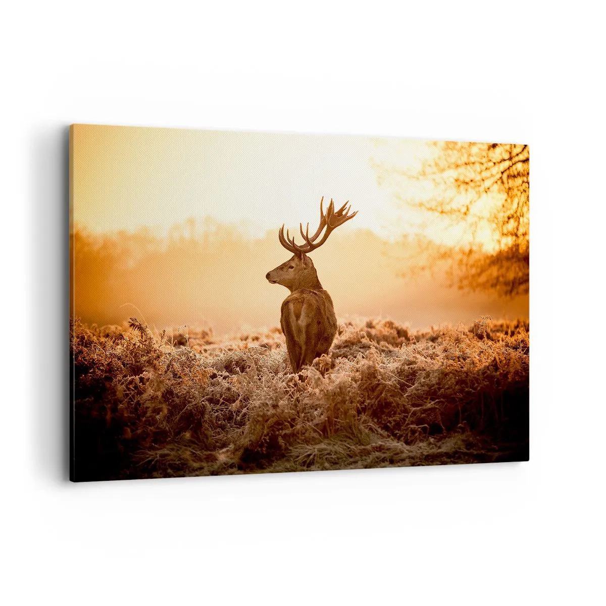 Vászonkép - A birtok ura - 120x80 cm