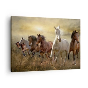 Vászonkép - Egy csapat vágtató ló a lenyugvó nap hátterében - 70x50cm - Éljen a szabadság! - Modern fali dekoráció nappalihoz és hálószobához ARTTOR