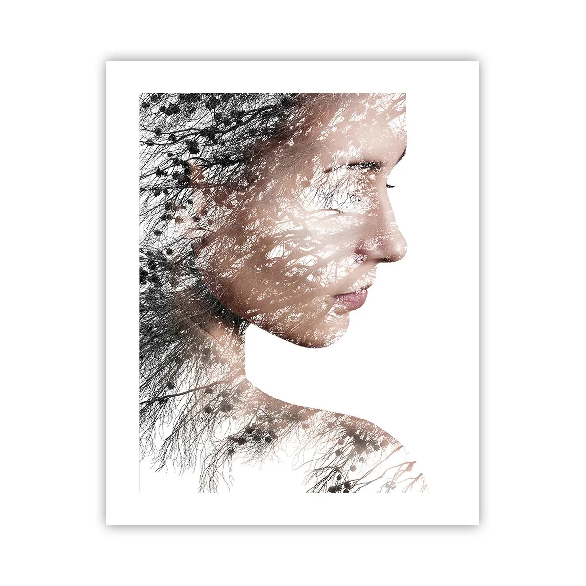 Poszter - Az erdő szelleme - 40x50 cm
