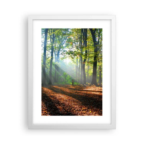 Poszter fekete keretben - Ragyogások és árnyékok - 30x40 cm