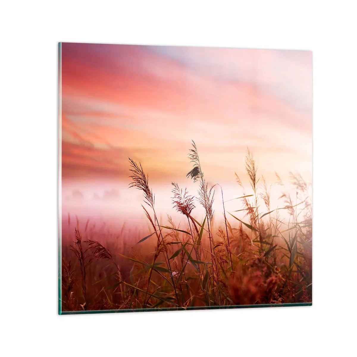 Üveg kép - Sárkányok, pitypangok, szél - 60x60 cm