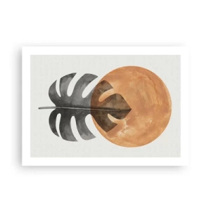 Poszter - Mindig a nap - 70x50 cm