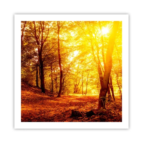 Poszter - Az arany tisztás felé - 60x60 cm