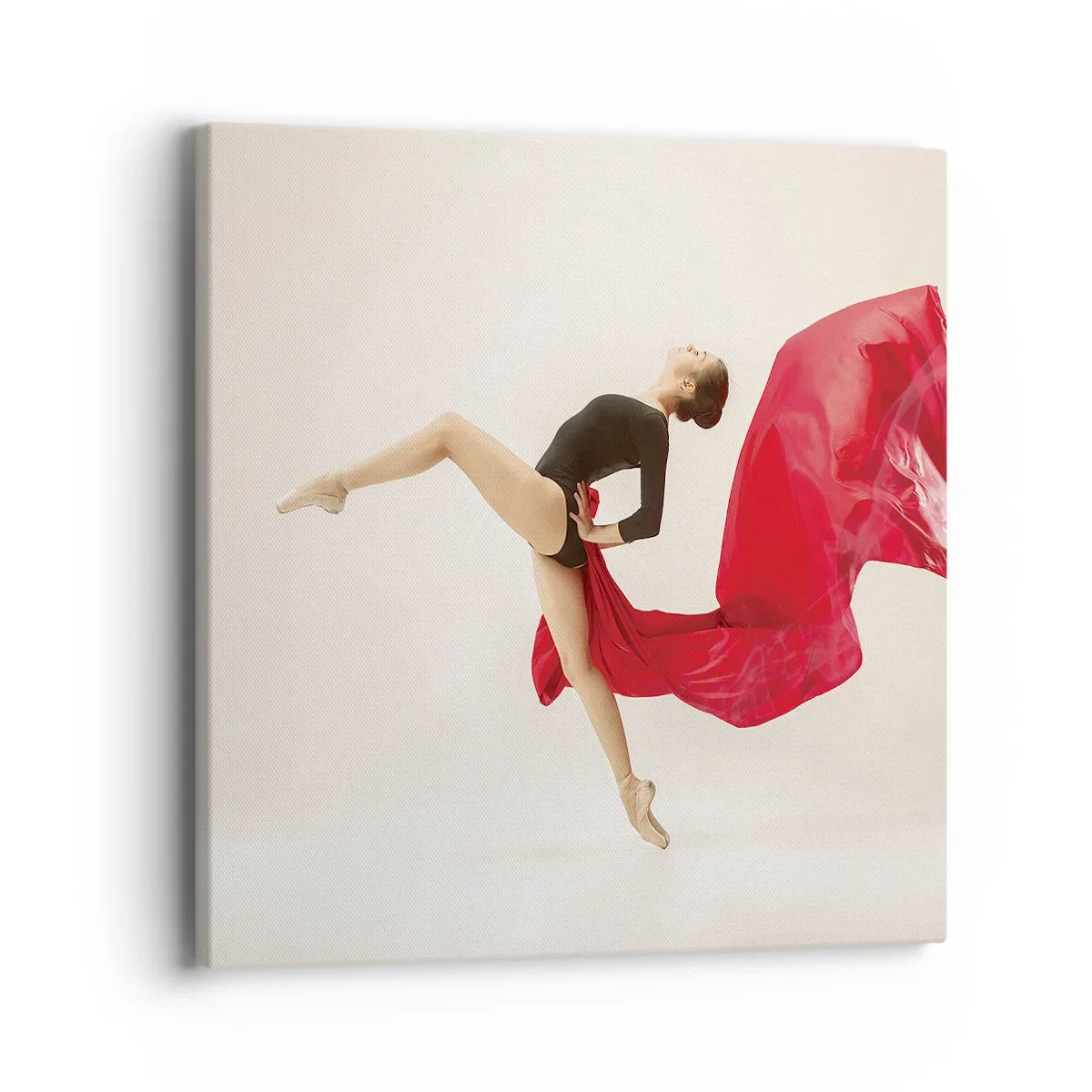 Vászonkép - Piros és fekete - 40x40 cm