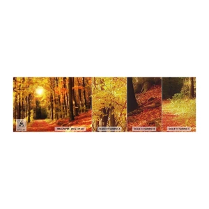 Fotótapéta Minta Premium Canvas - Arany ősz az erdei úton - Ősz, Erdő, Tájkép - 100x30 cm