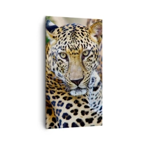 Vászonkép - Vad és nyugott - 45x80 cm