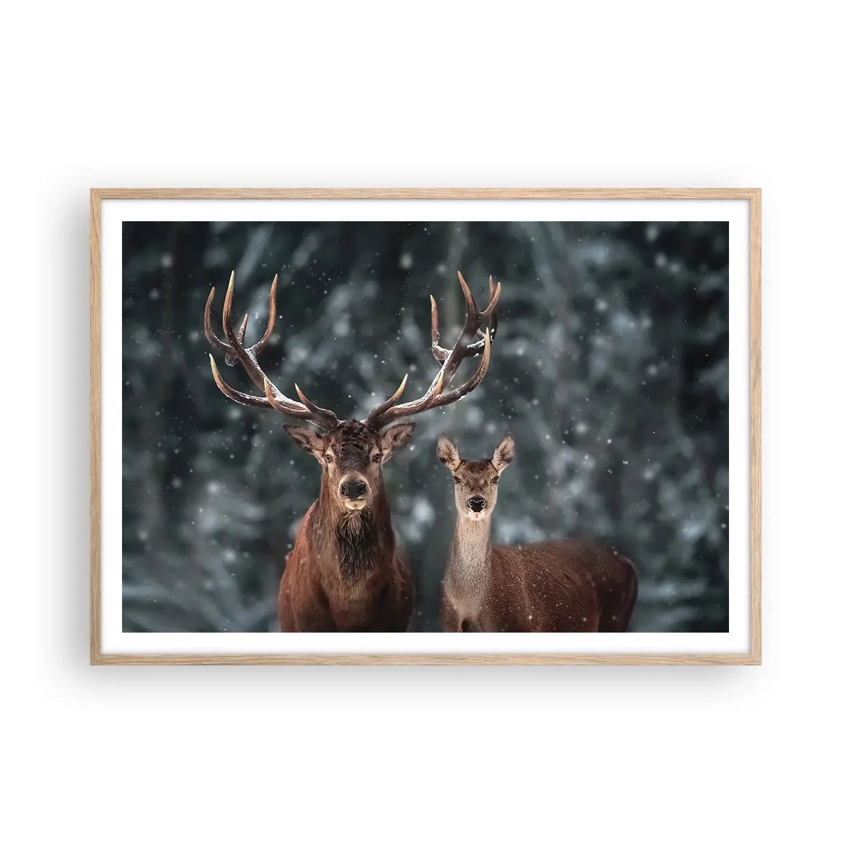 Poszter világos tölgy keretben - Az erdő ura a feleségével - 100x70 cm