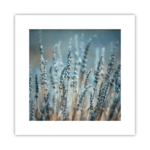 Poszter - Illatos szálak - 30x30 cm