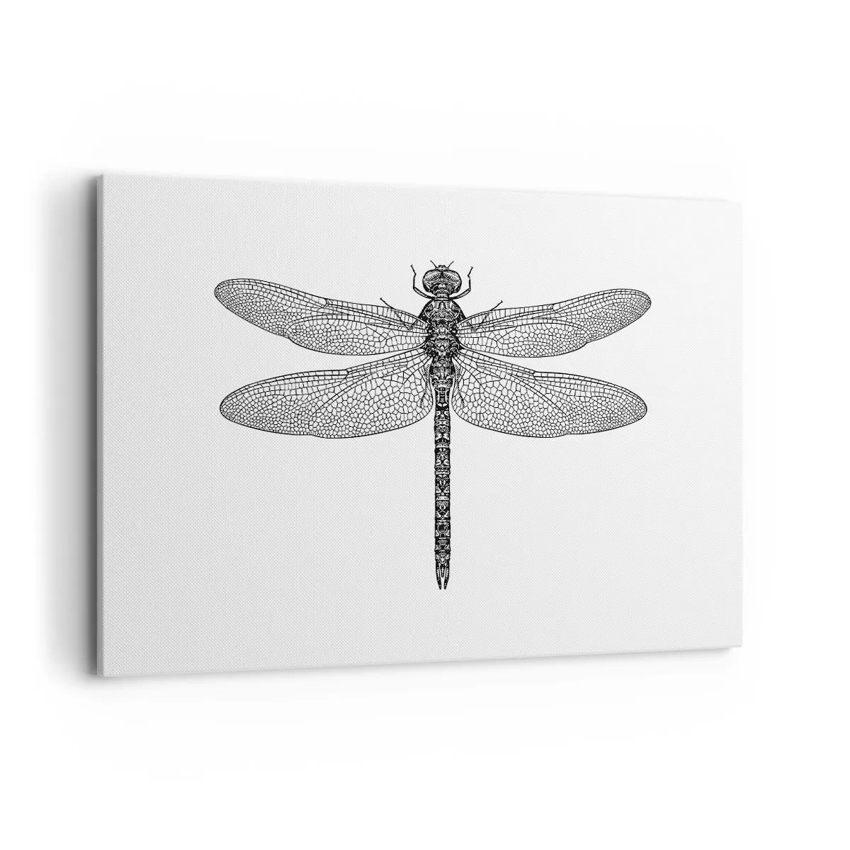 Vászonkép - A természet precizitása - 100x70 cm