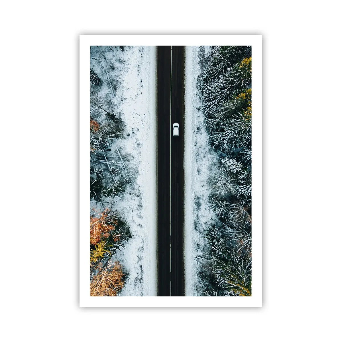 Poszter - Átvágni a téli erdőn - 61x91 cm