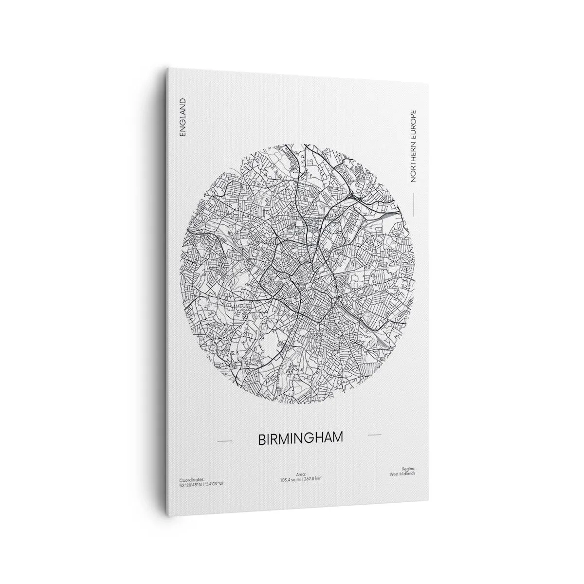 Vászonkép - Birmingham anatómiája - 80x120 cm
