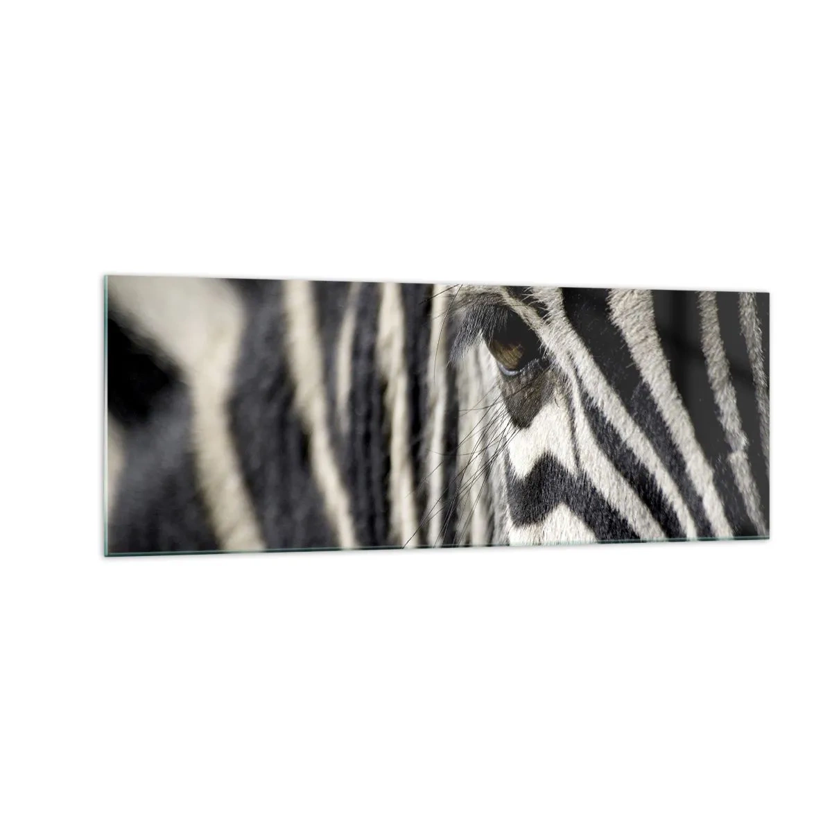 Üveg kép - Csíkos portré - 140x50 cm