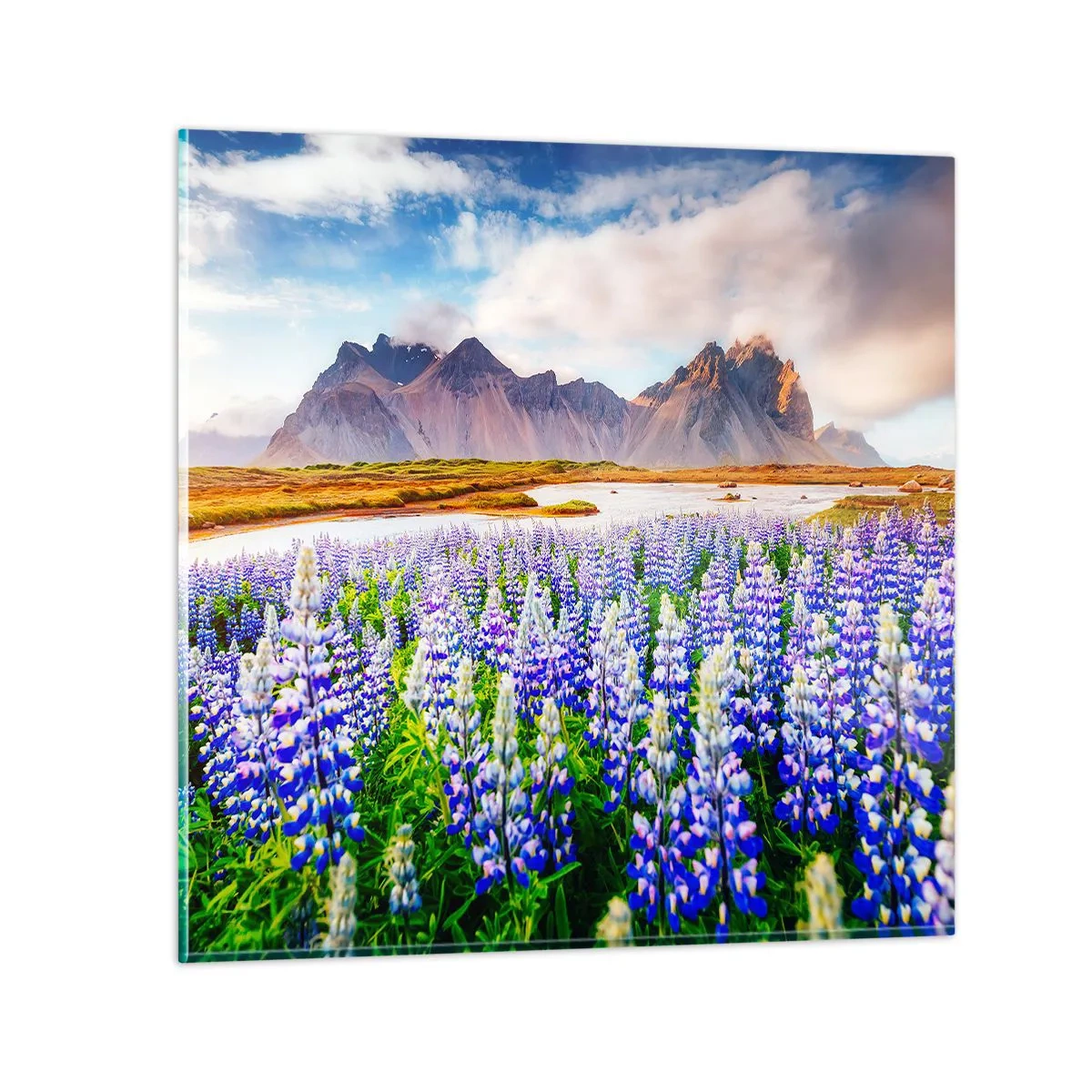 Üveg kép - Erő és szigorúság a szelídség mellett - 70x70 cm