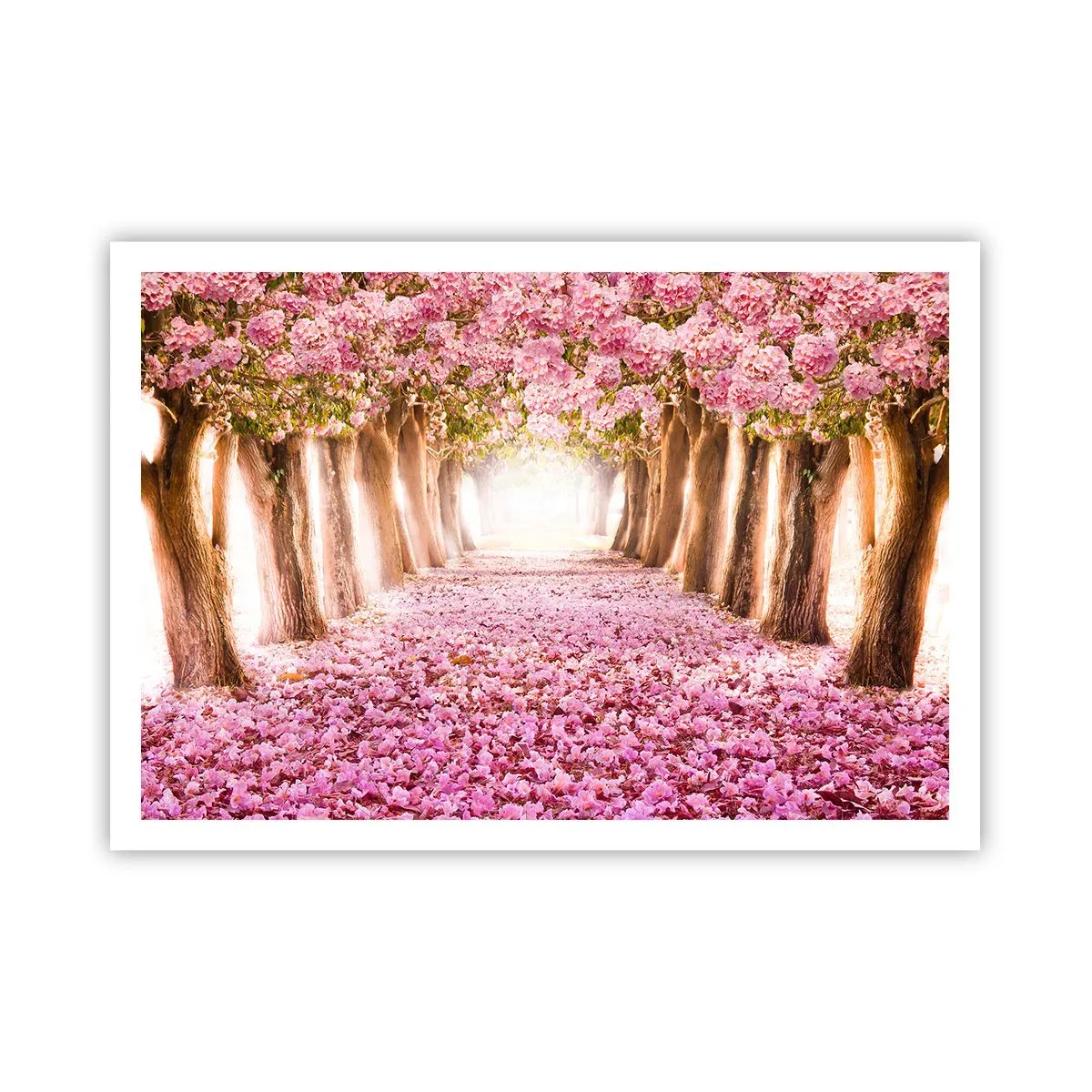 Poszter - Út a paradicsomba - 100x70 cm