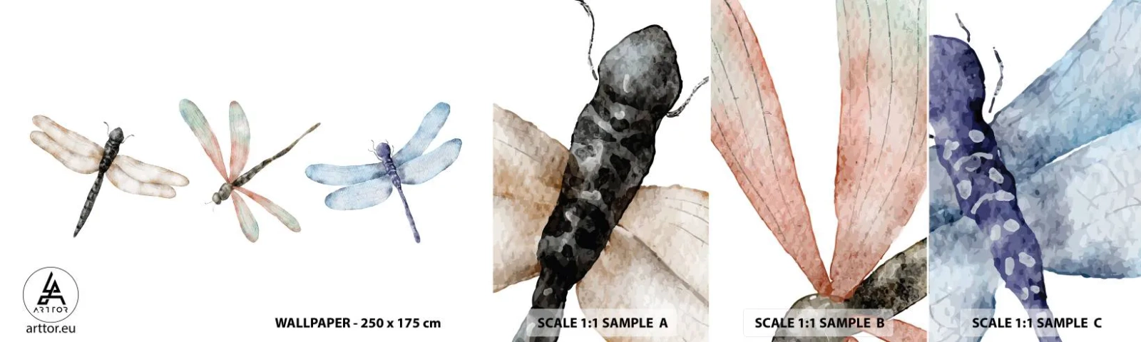 Fotótapéta Minta Standard Eco - Súlytalan szitakötők - Rovarok, Minimalista, Súlyos - 100x30 cm
