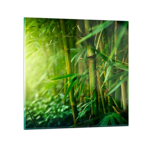 Üveg kép - Megismerni magát a zöldet - 30x30 cm