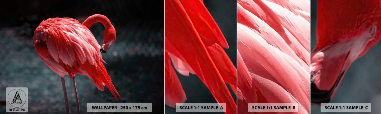 Fotótapéta Minta Öntapadós Deluxe Sticker - A természet karmazsinvörös verse - Flamingó, Madár, Természet - 100x30 cm