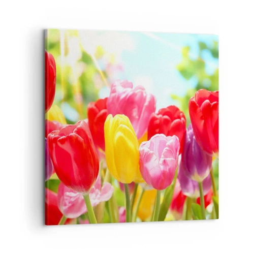 Vászonkép - Mi vagyunk, a május színei! - 60x60 cm