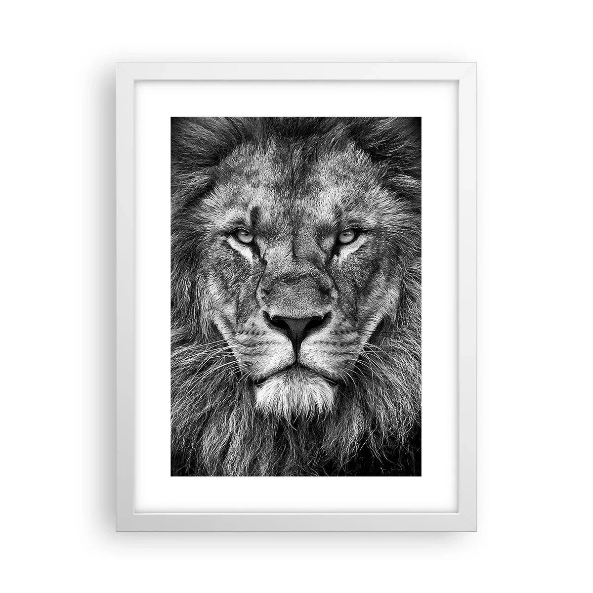 Poszter fekete keretben - Őfelségi palástban - 30x40 cm