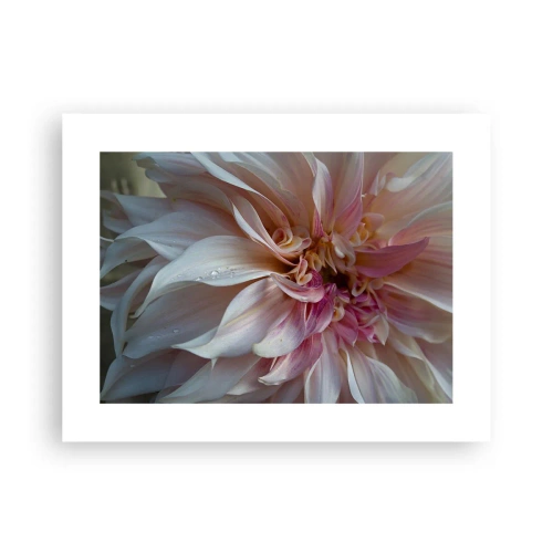 Poszter - Virágzó frissesség - 40x30 cm