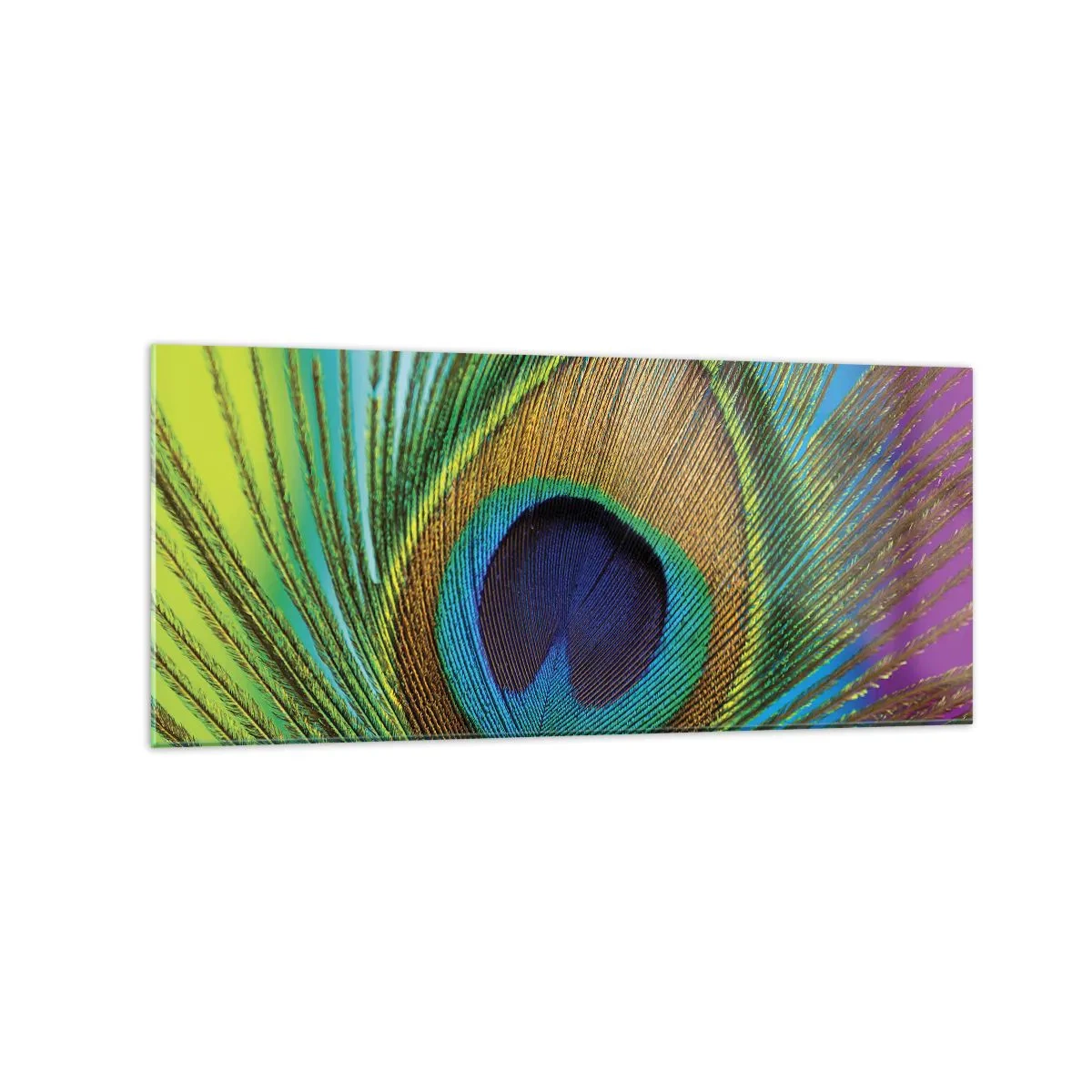 Üveg kép - Szemtől szemben - 120x50 cm