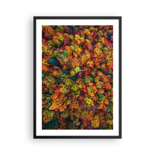 Poszter fehér keretben - Egy színes erdő madártávlatból, őszi palettáján - 50x70cm - Őszi facsokor - Modern fali dekoráció nappalihoz és hálószobához ARTTOR