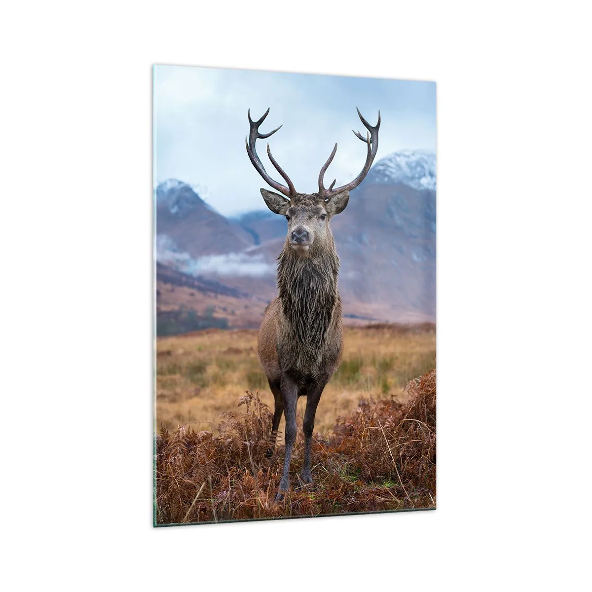 Üveg kép - Saját földön - 70x100 cm