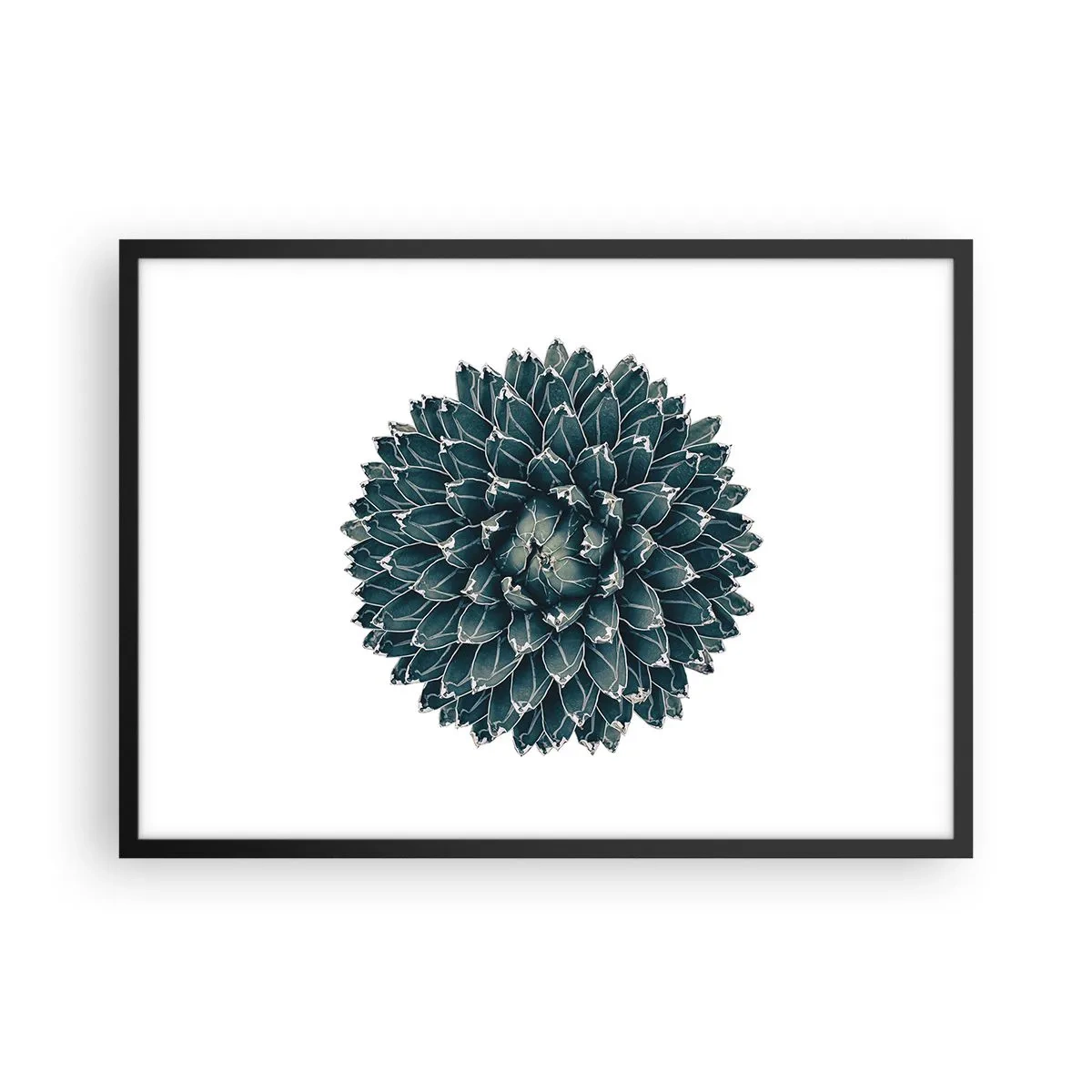 Poszter fehér keretben - A sivatag csillaga - 70x50 cm