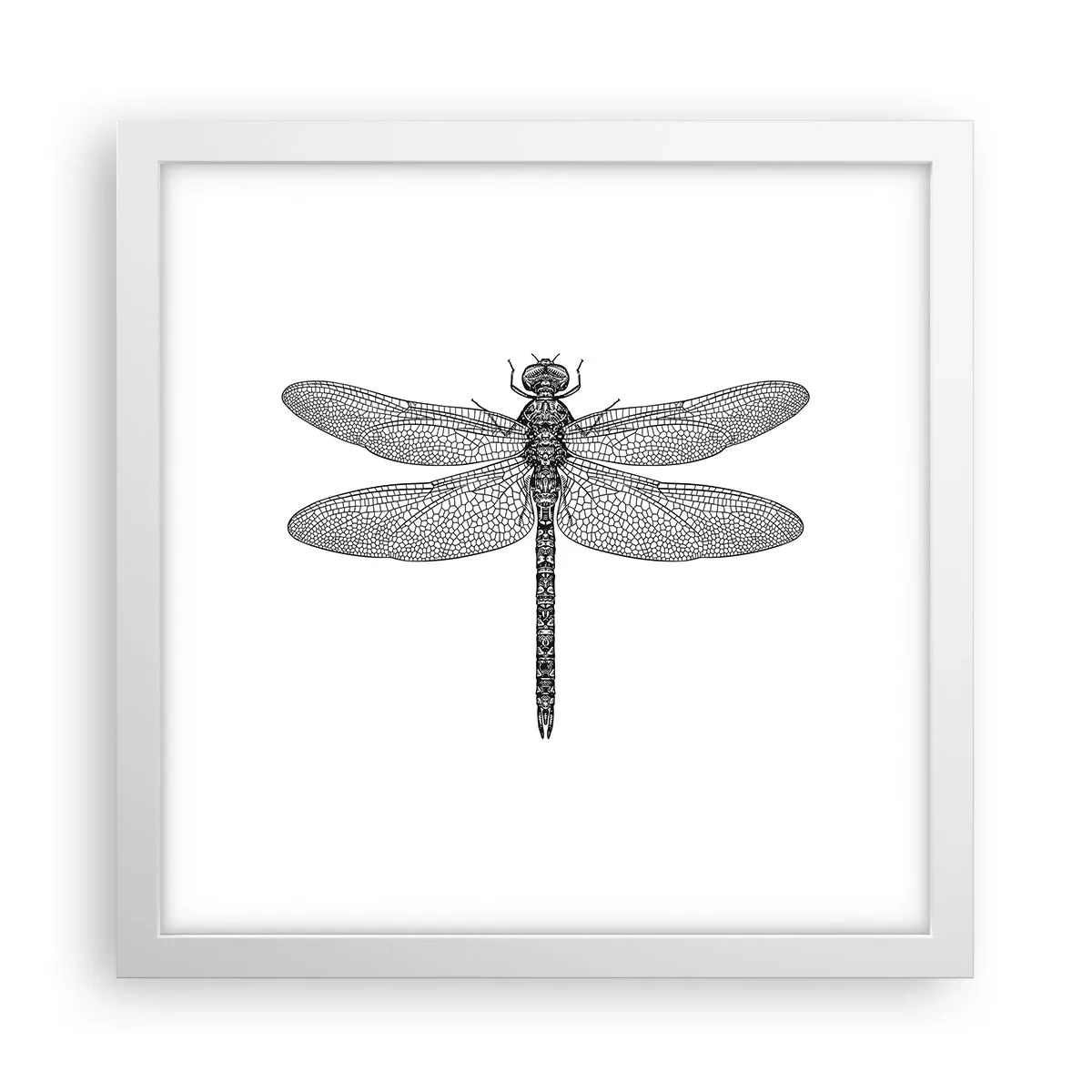 Poszter fekete keretben - A természet precizitása - 30x30 cm