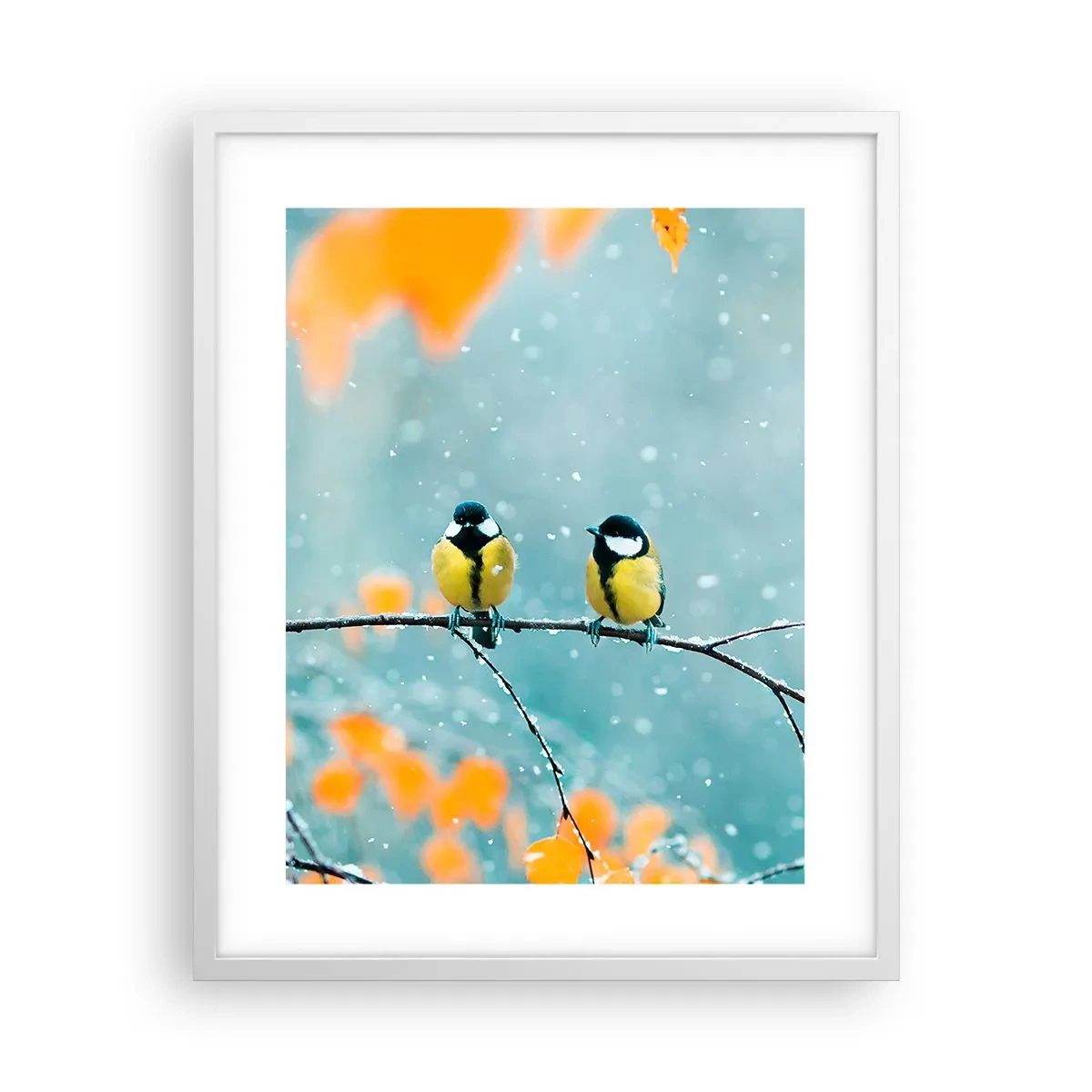 Poszter fekete keretben - Madárpletykák - 40x50 cm