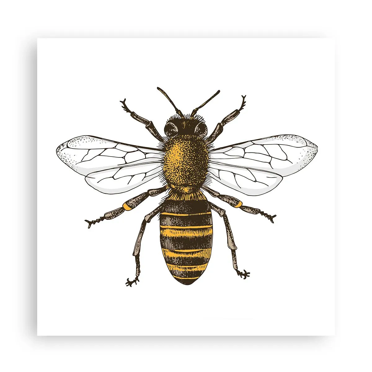 Poszter - Gyönyörű és jó - 60x60 cm