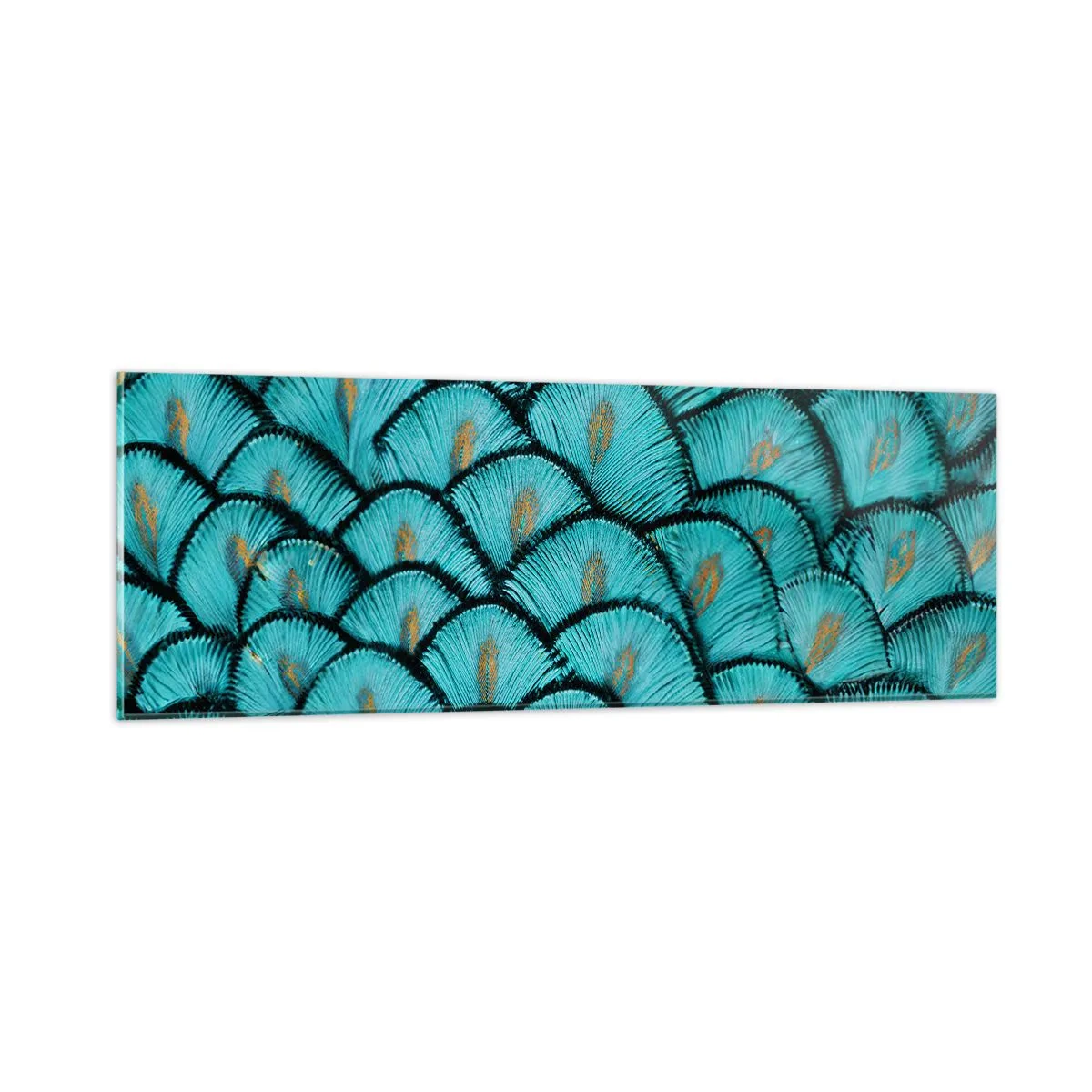 Üveg kép - A tollak nagy gálája - 90x30 cm